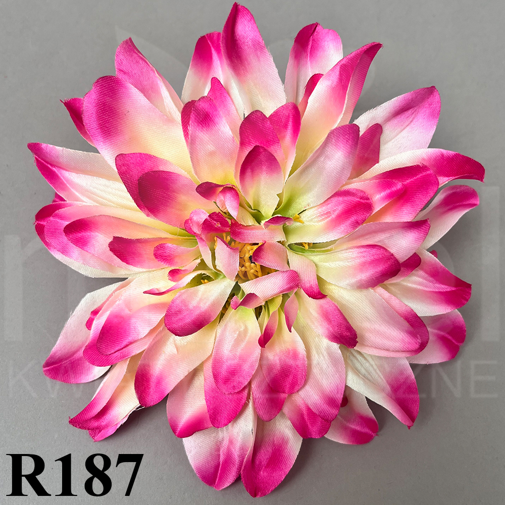 R187.jpg