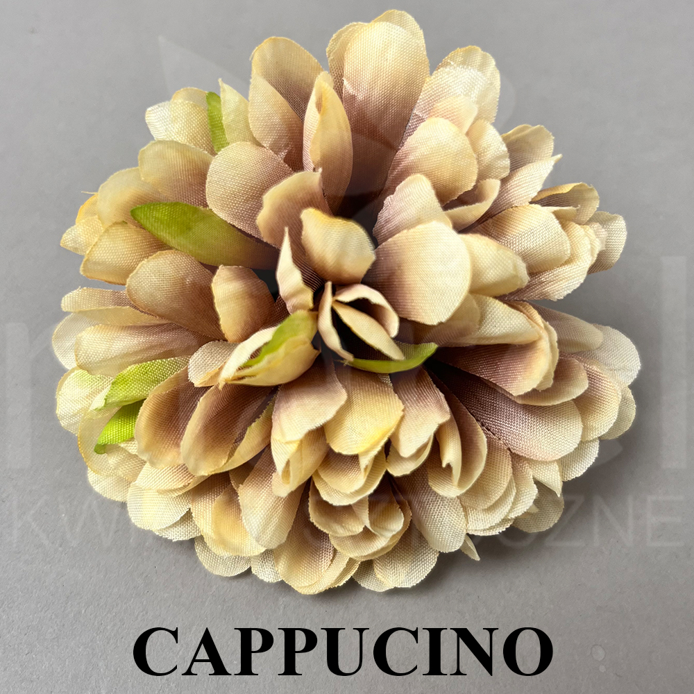 CAPPUCINO.jpg