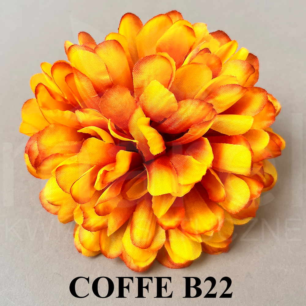 COFFE B22.jpg