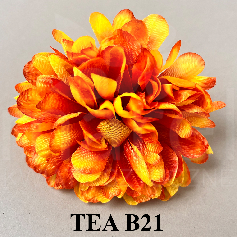 TEA B21.jpg