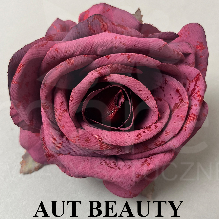 AUT BEAUTY.jpg