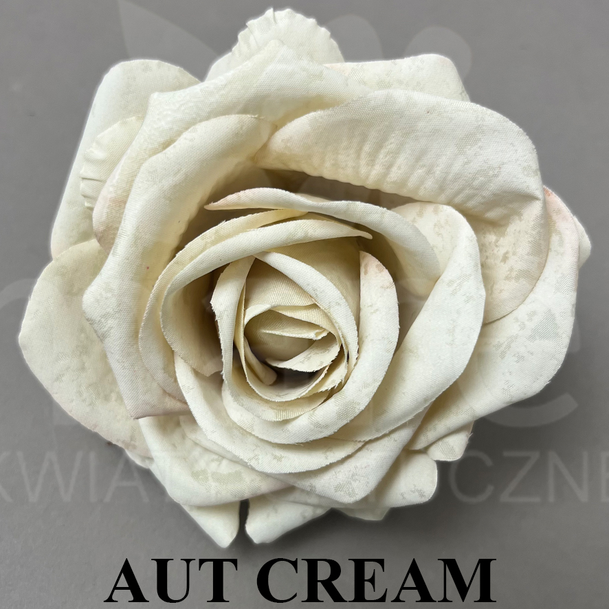 AUT CrREAM.jpg