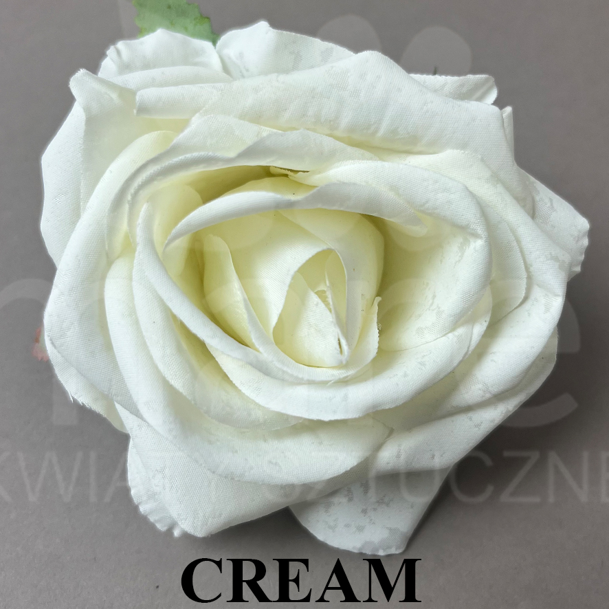 CREAMM.jpg