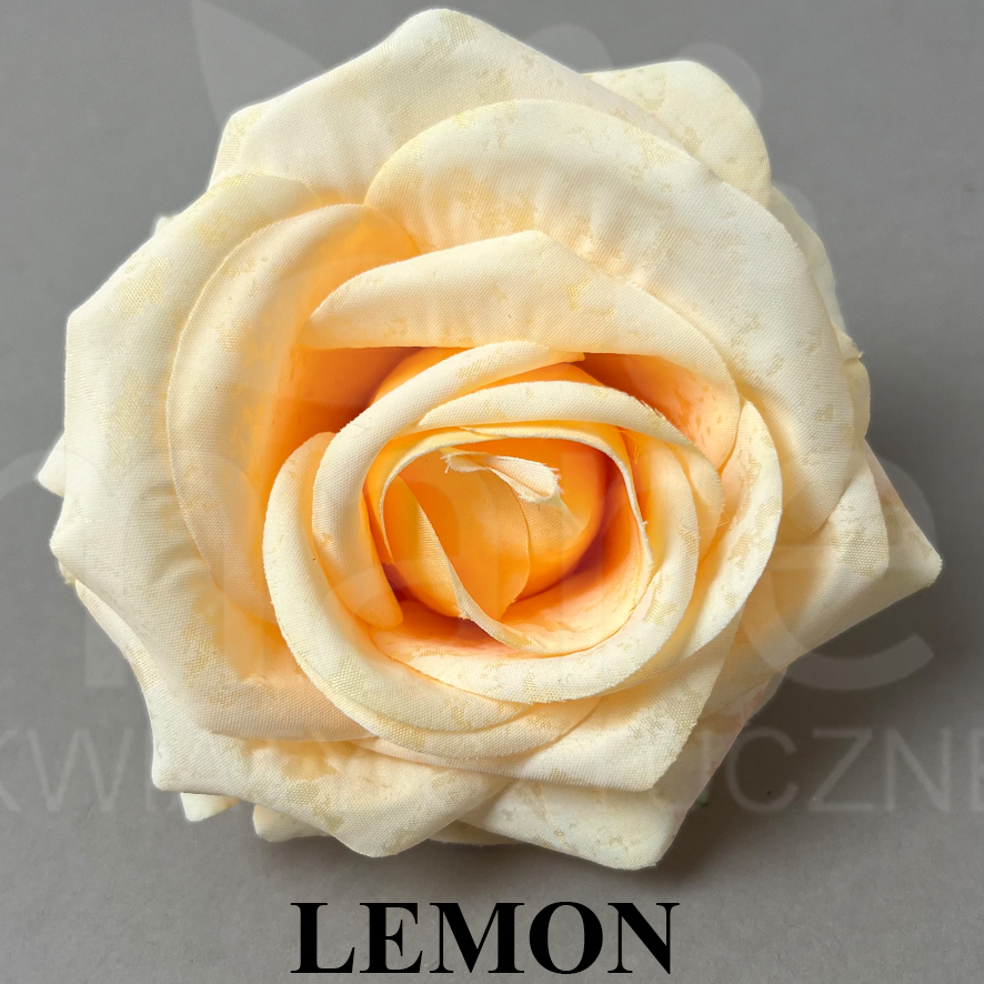 LEMON.jpg