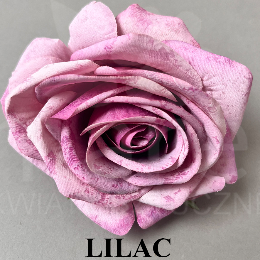 LILAC.jpg
