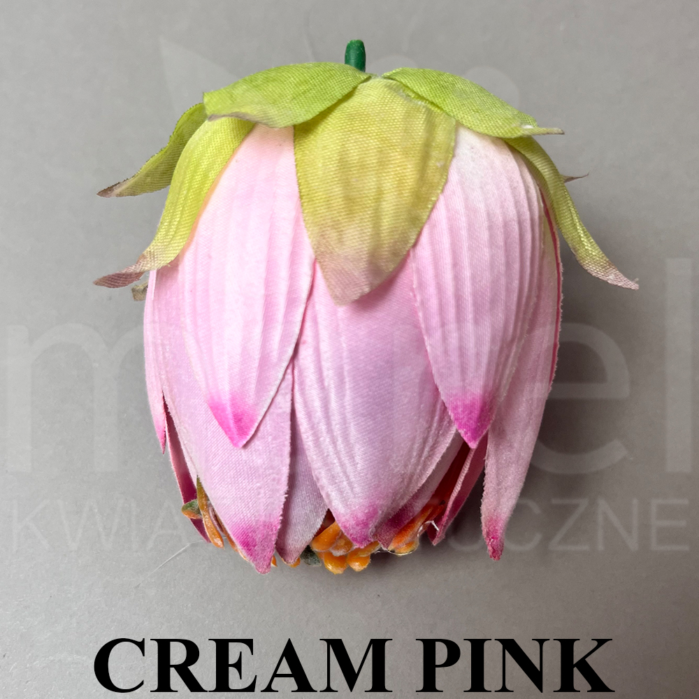 CREAM PINK.jpg