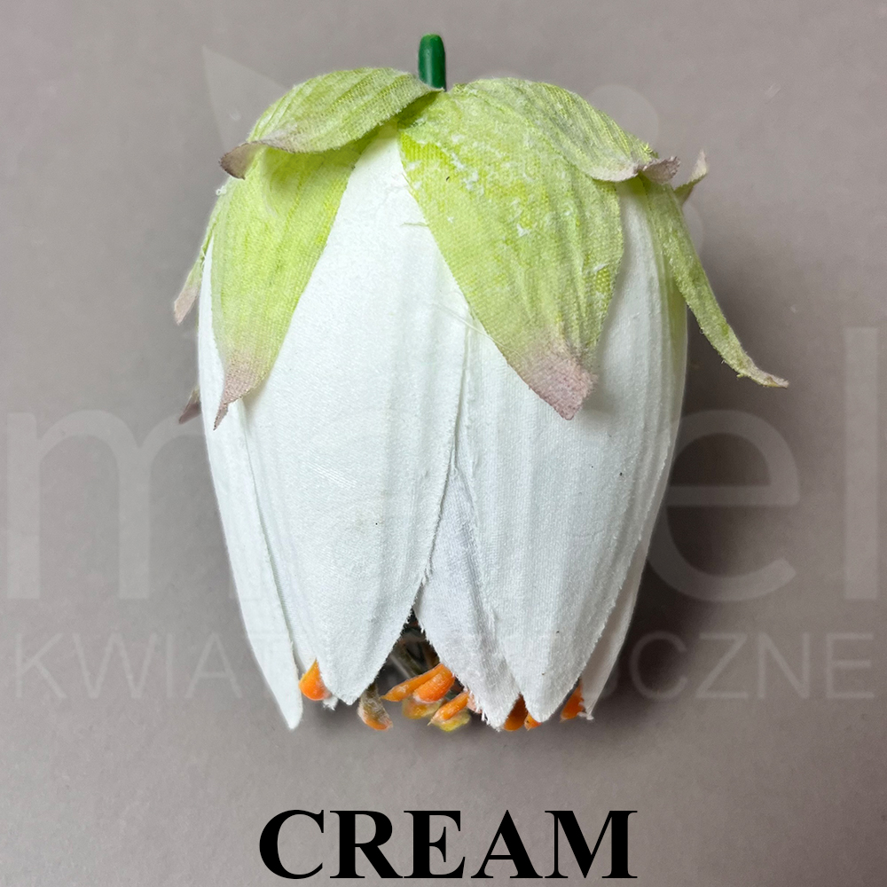 CREAM.jpg