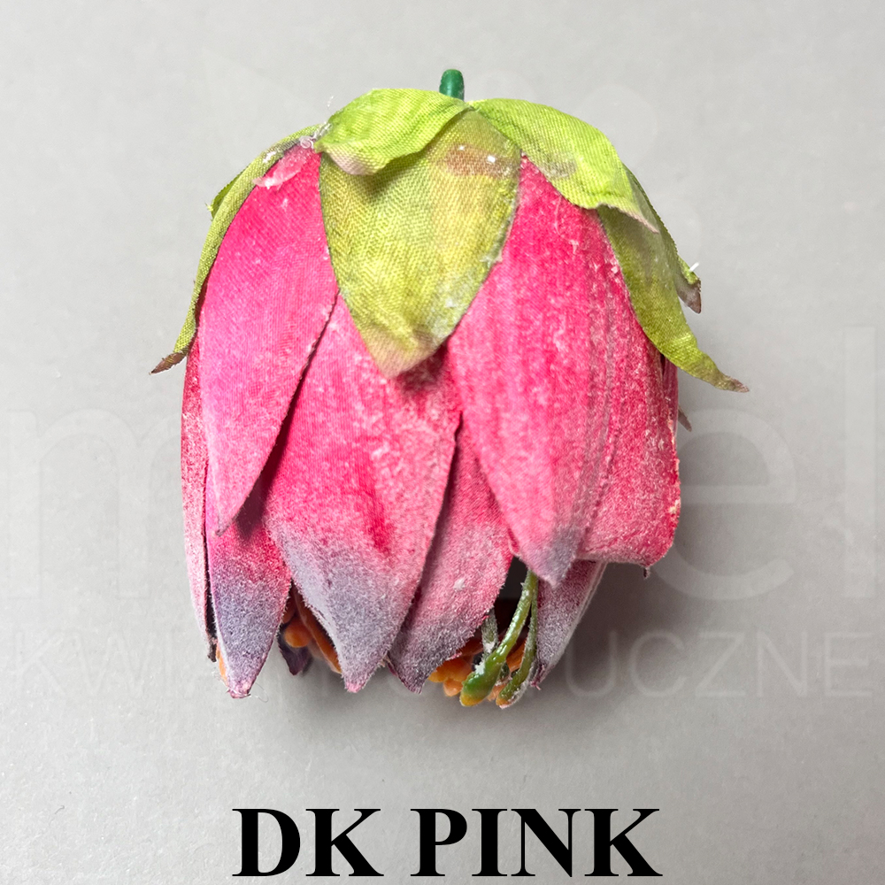 DK PINK.jpg