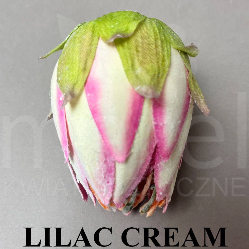 LILAC CREAM.jpg
