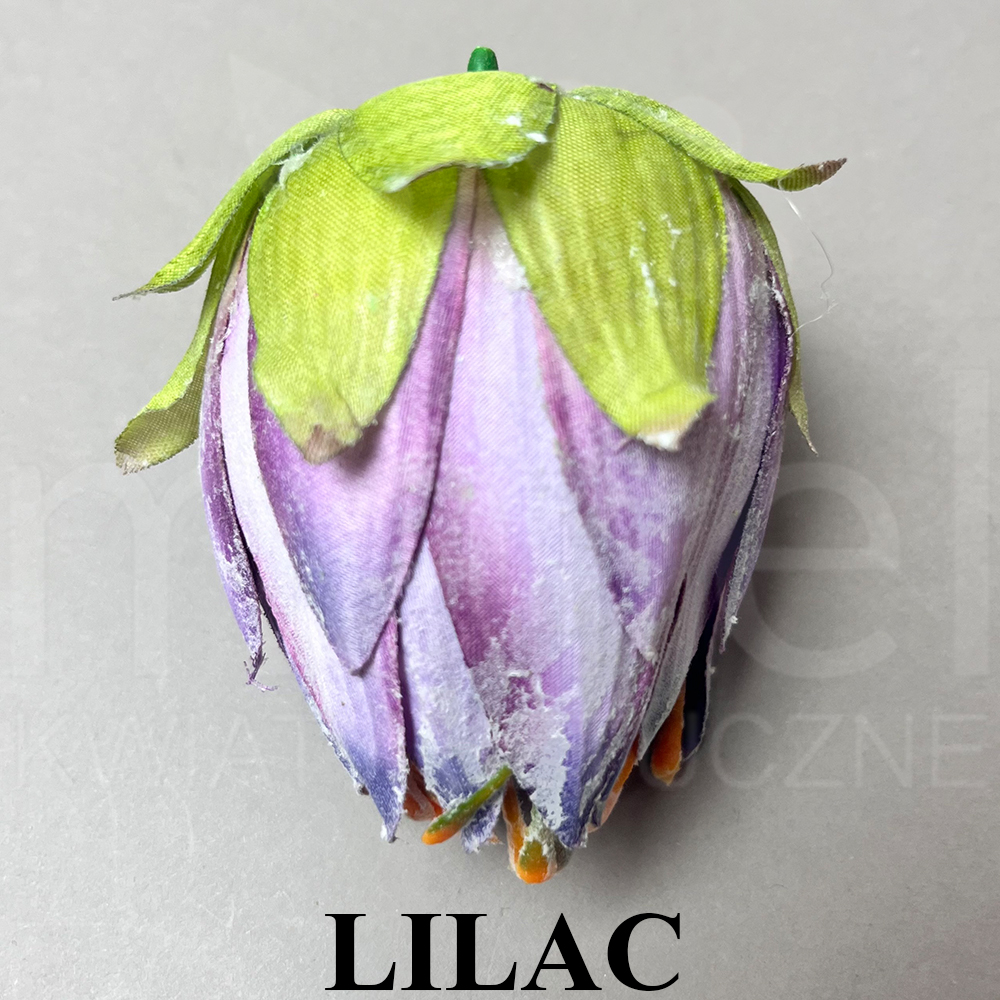 LILAC.jpg