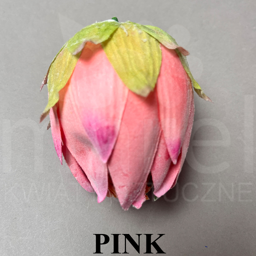 PINK.jpg