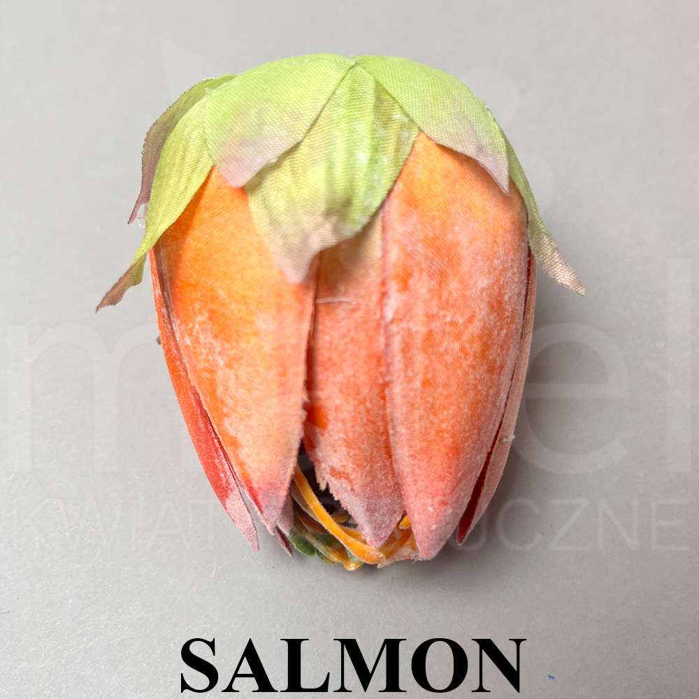 SALMON.jpg