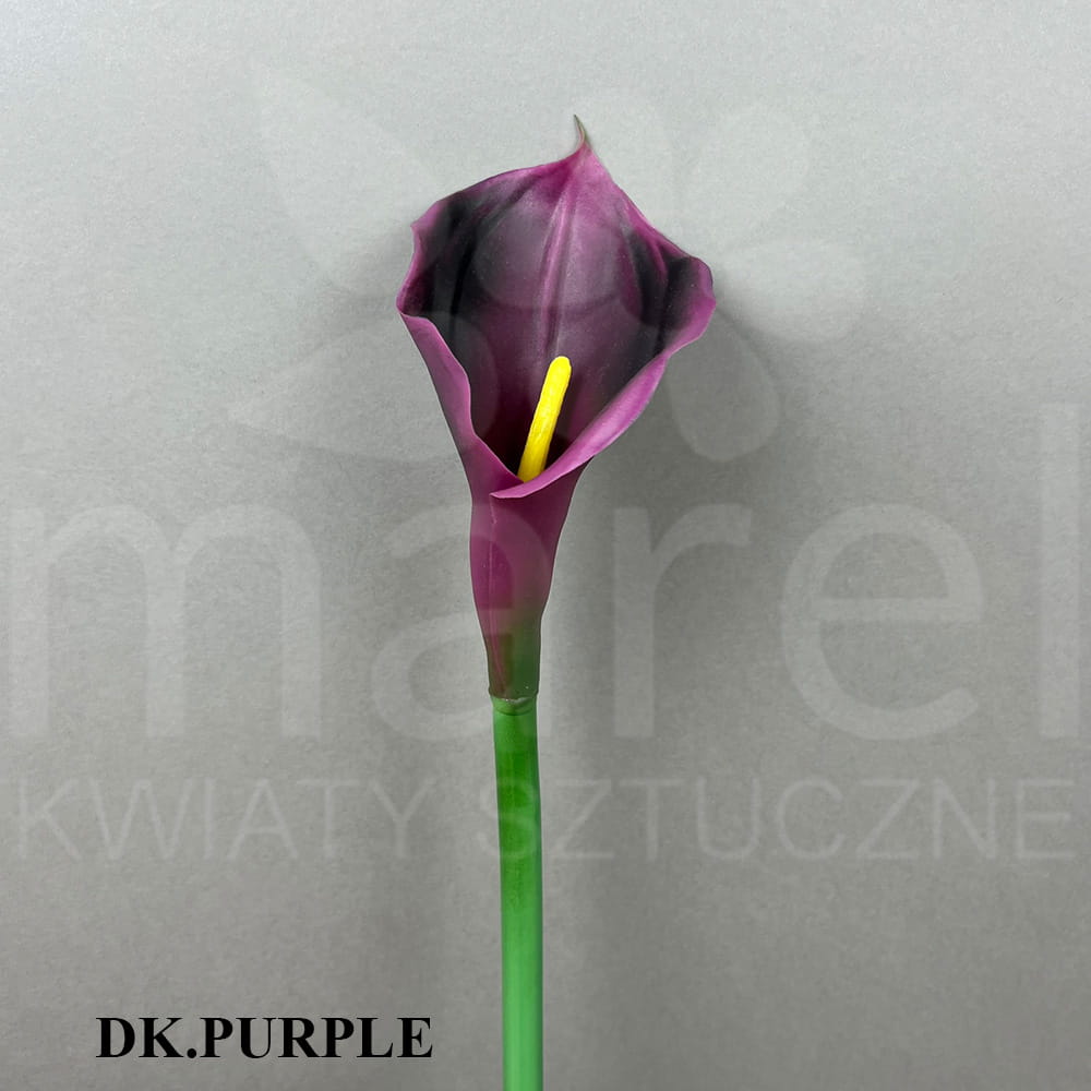 DK.PURPLE.jpg