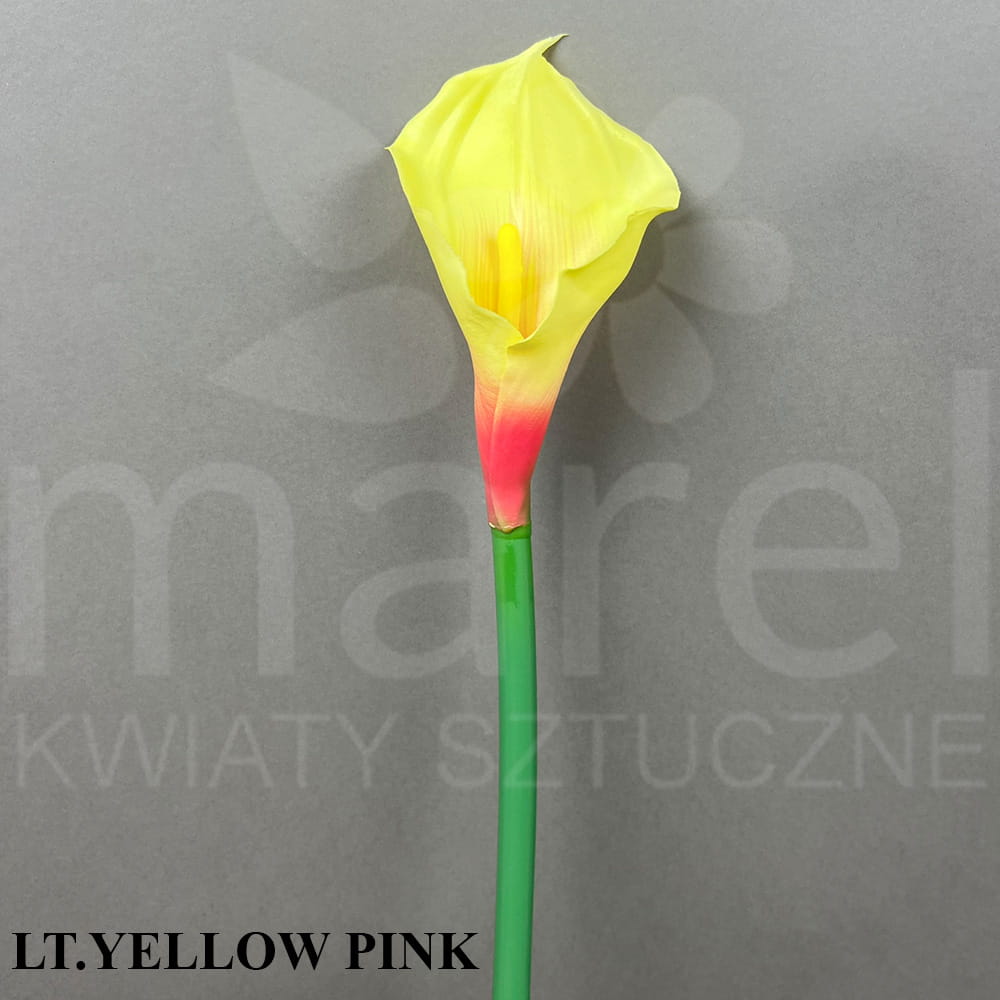 LT.YELLOW PINK.jpg