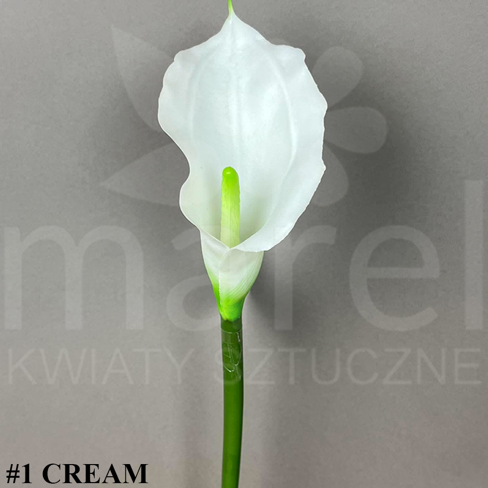 #1 CREAM.jpg