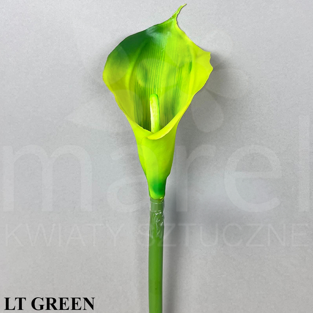#10 LT GREEN.jpg
