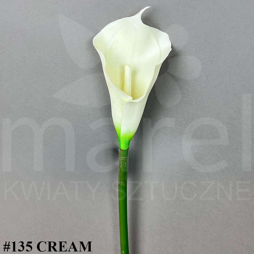 #135 CREAM.jpg