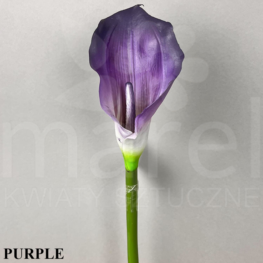 #184 PURPLE.jpg