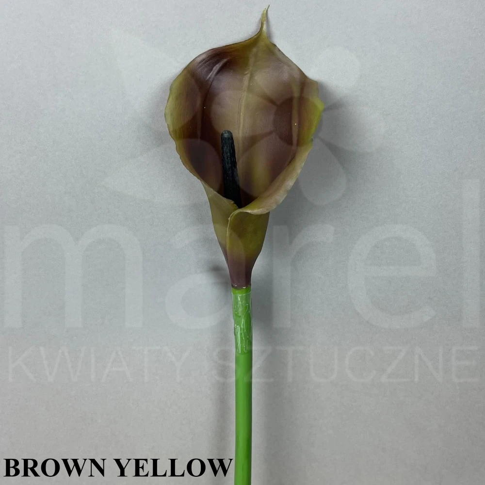 #196 BROWN YELLOW.jpg