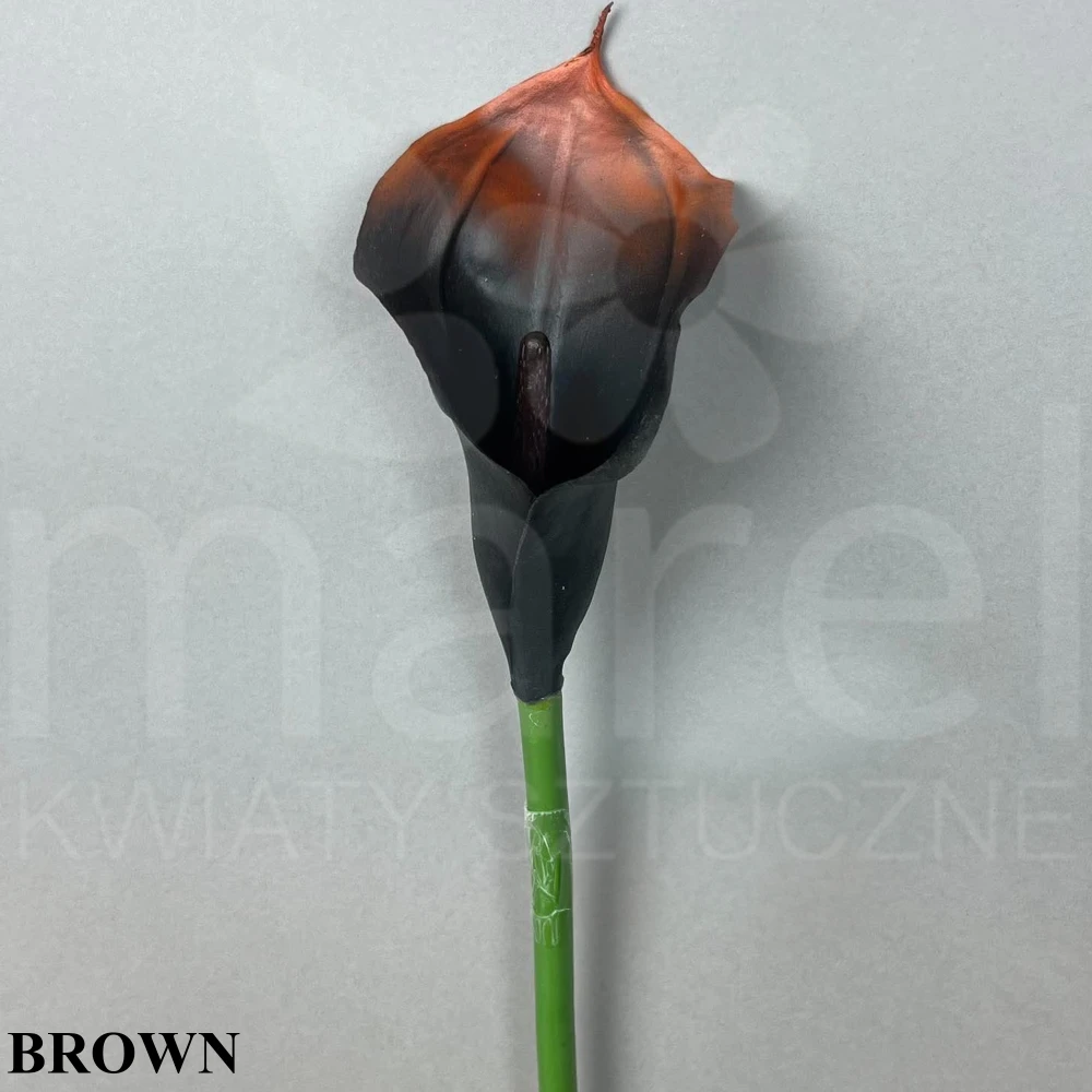 #198C BROWN.jpg