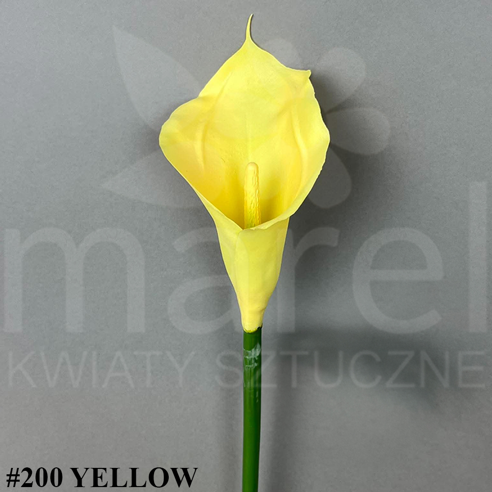 #200 YELLOW.jpg