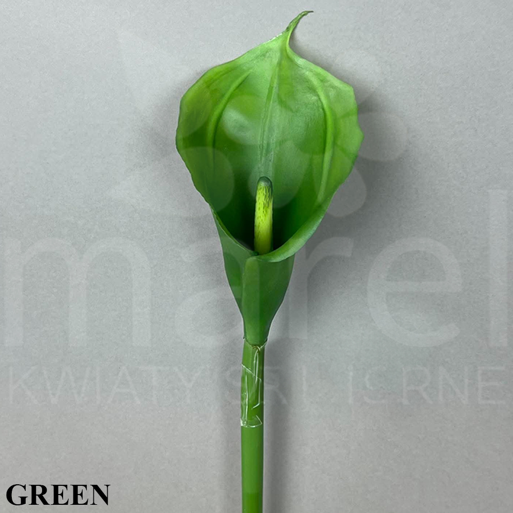 #C1 GREEN.jpg