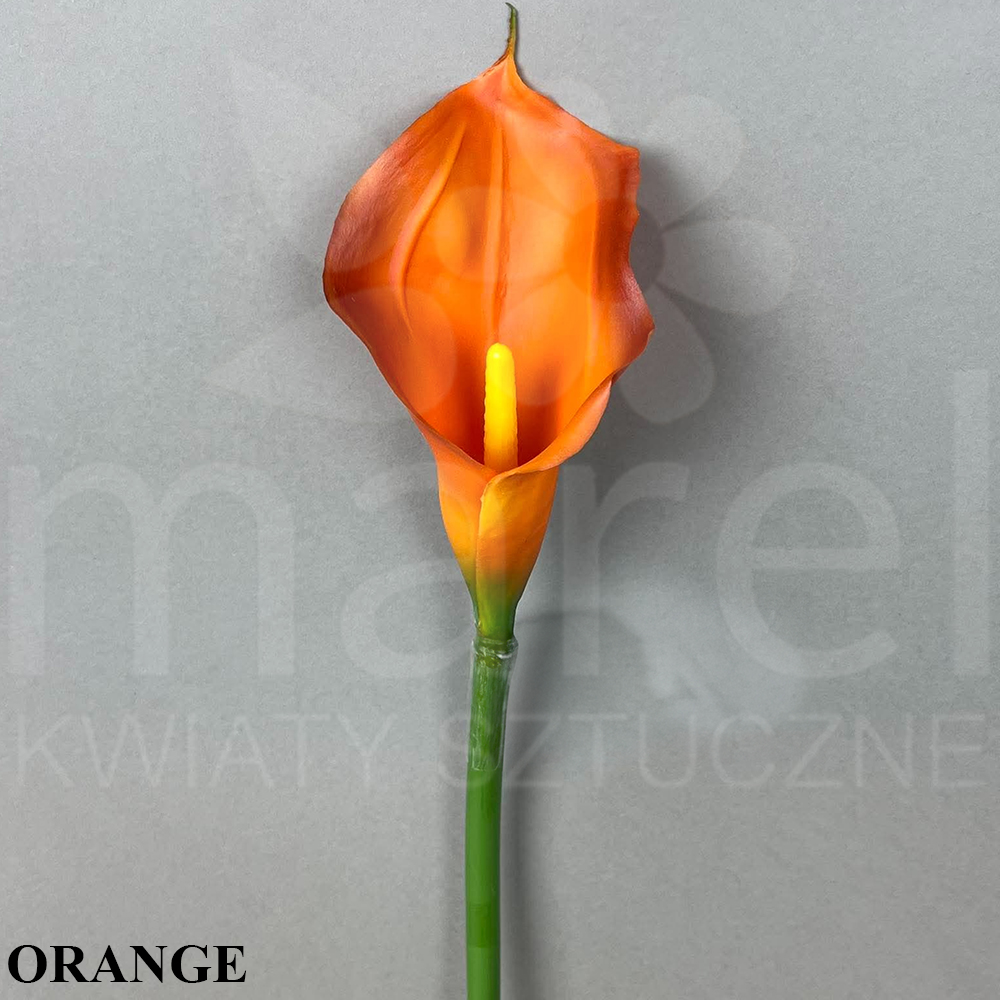 #C30 ORANGE.jpg