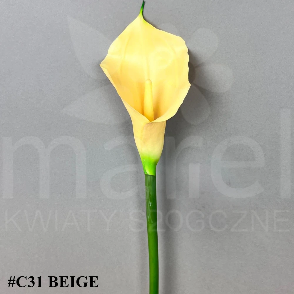#C31 BEIGE.jpg