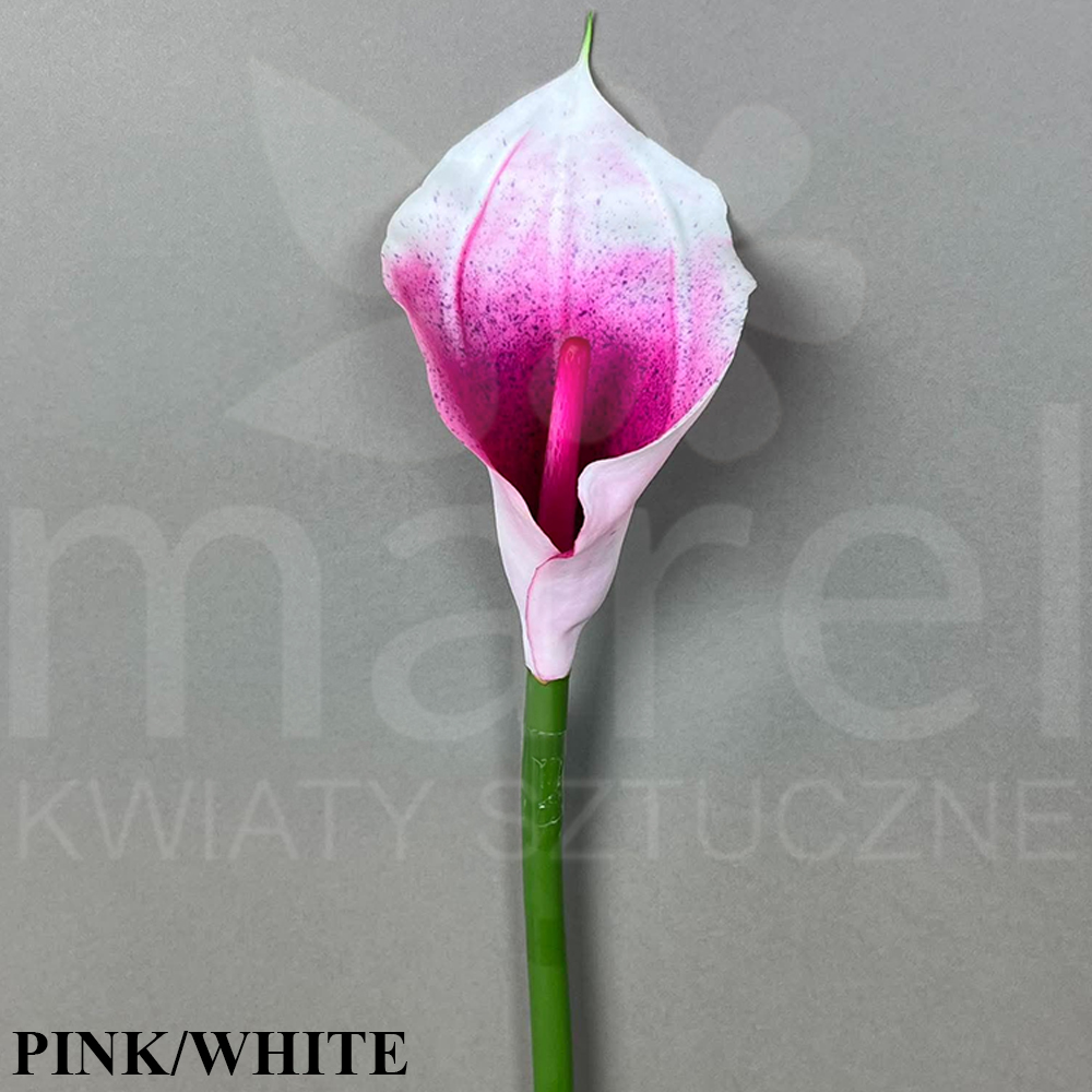 #LD-49 PINK WHITE.jpg