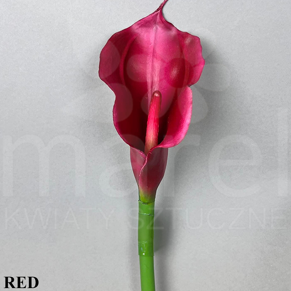 C33 RED.jpg