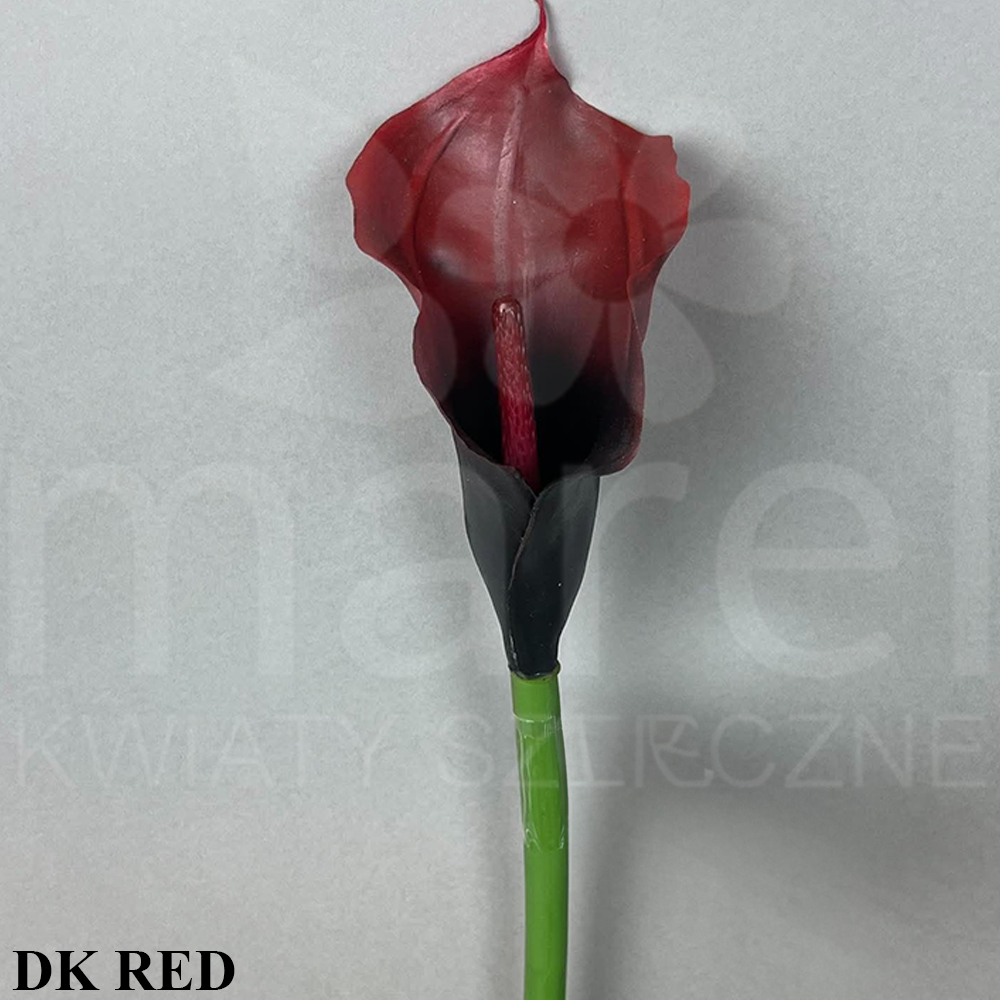 DK RED.jpg