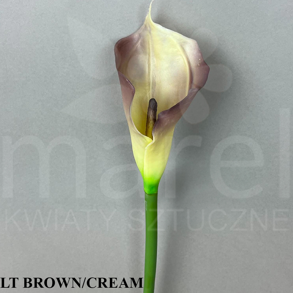 LT BROWN CREAM.jpg