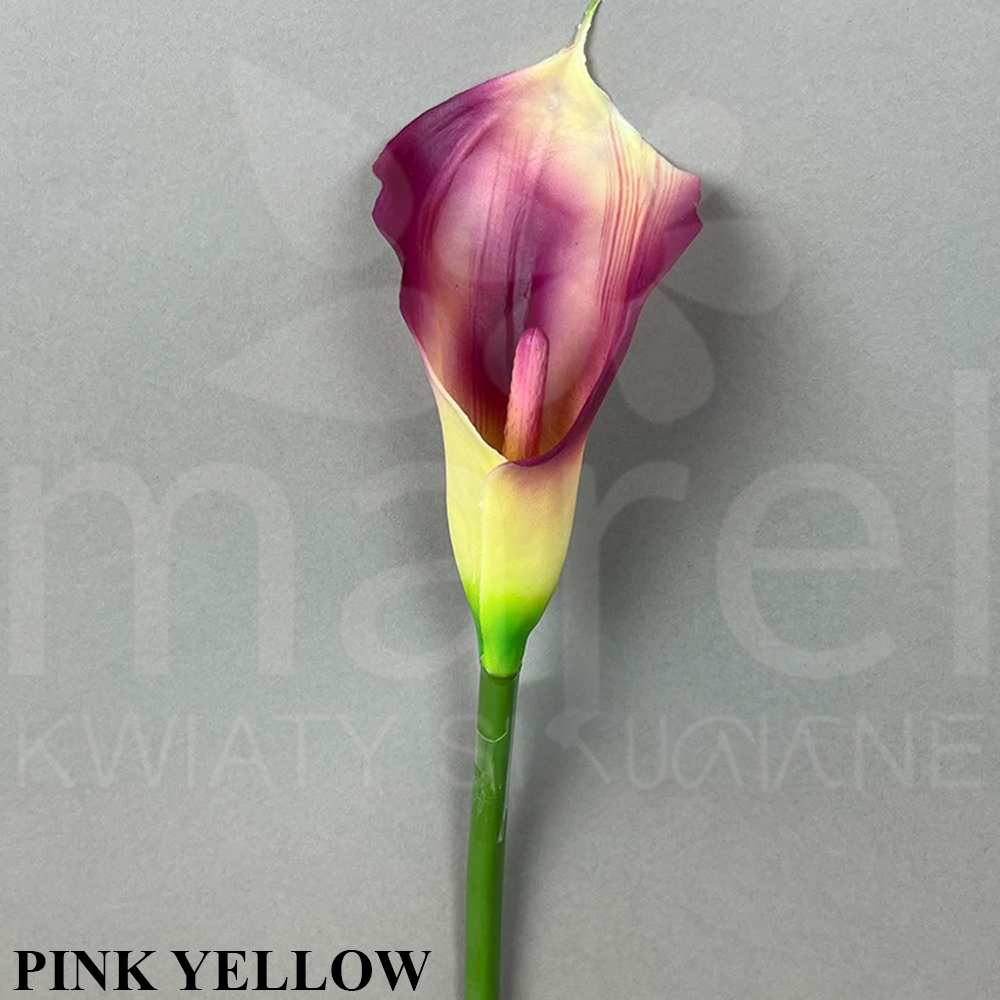 PINK YELLOW.jpg