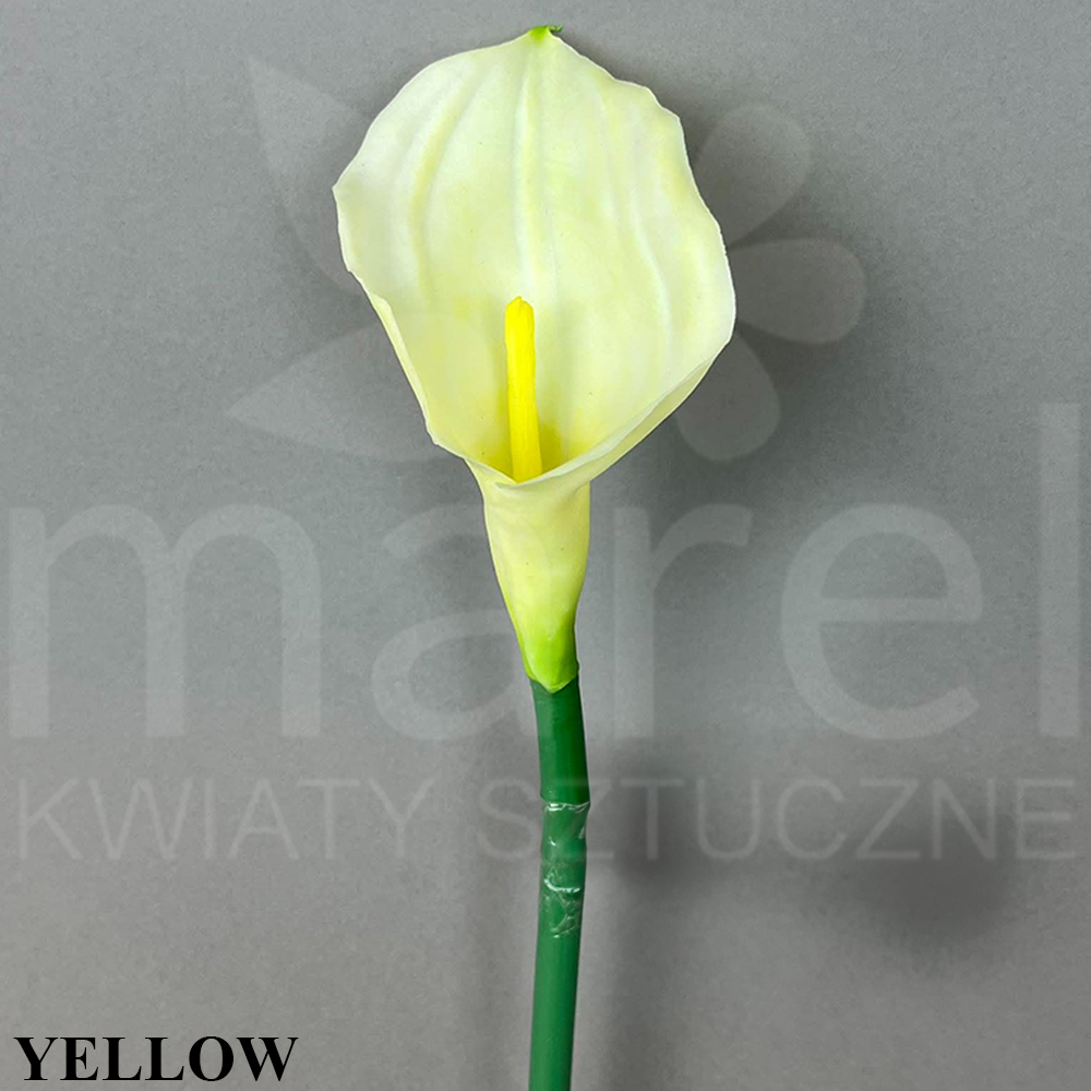 YELLOW.jpg
