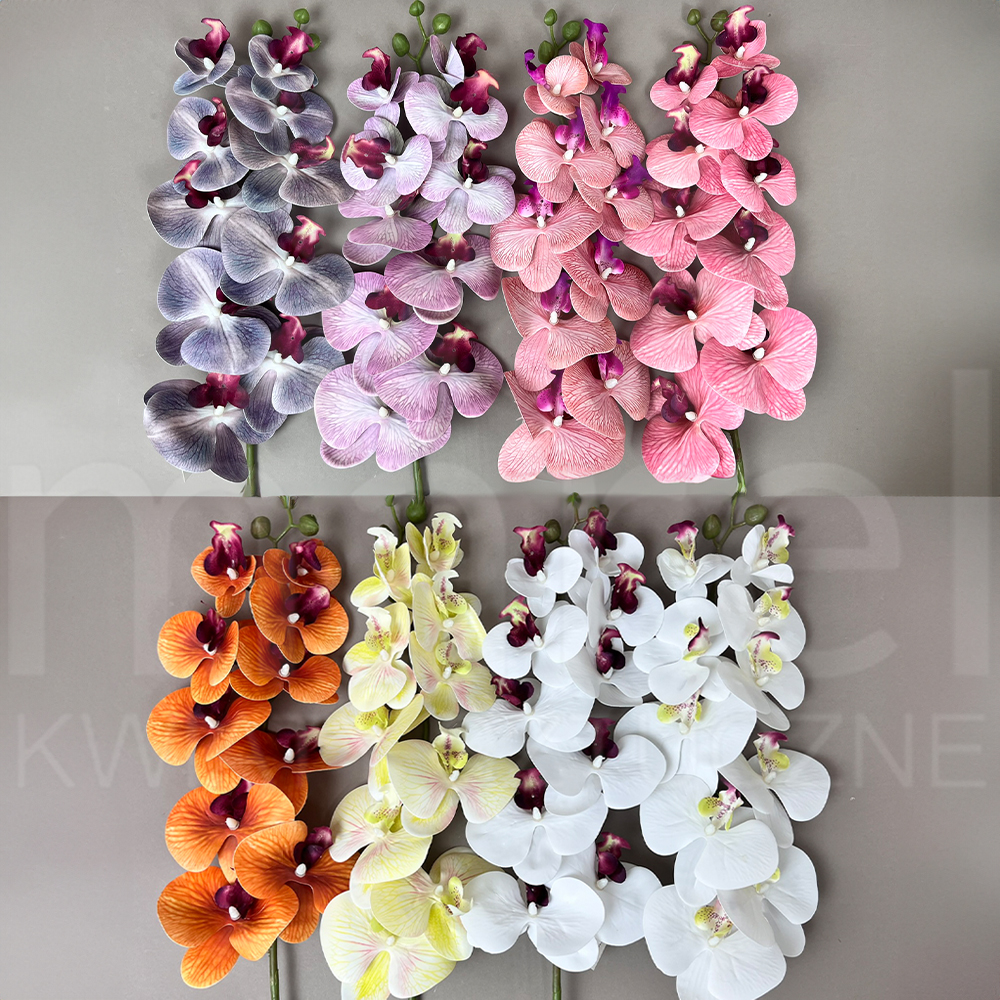 KP61017 MIX1.jpg
