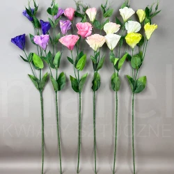 Eustoma DE0408 MIX