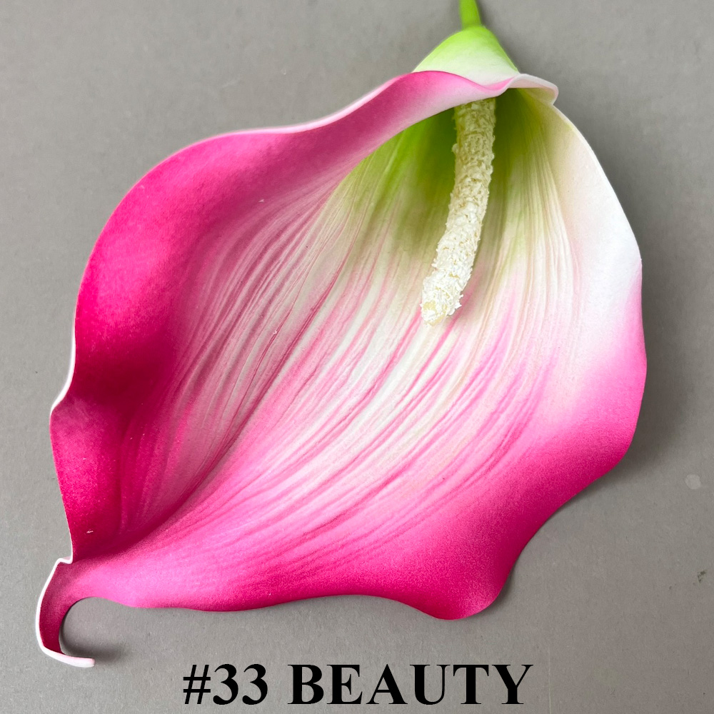#33 BEAUTY.jpg