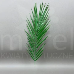 Liść JH019