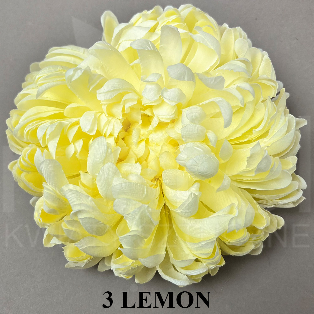 3 LEMON.jpg