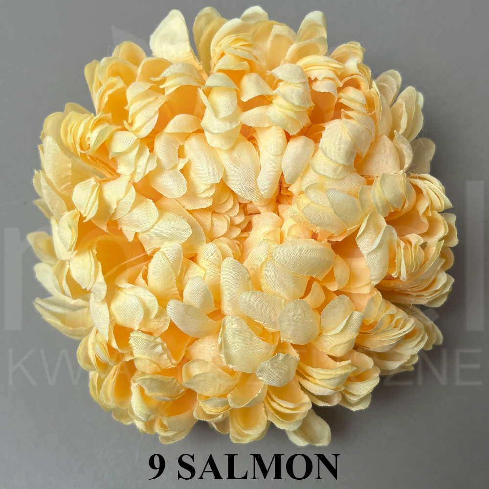 9 SALMON.jpg