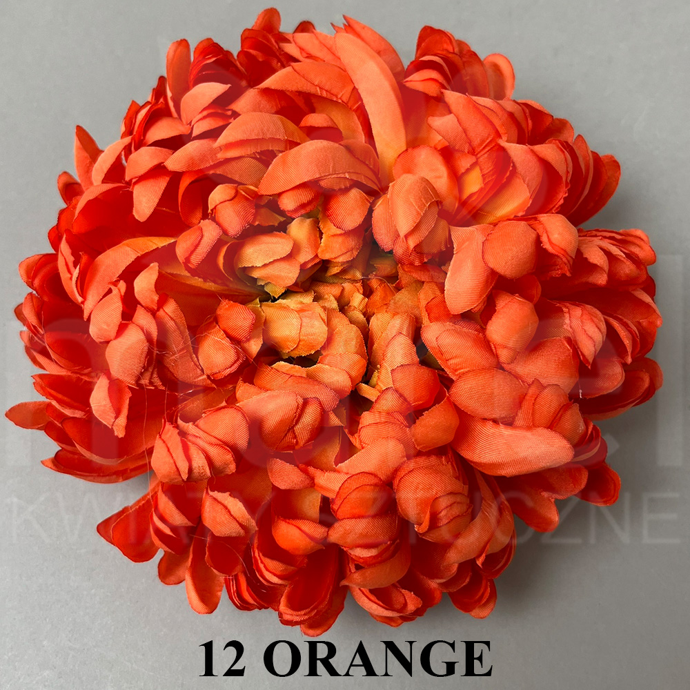 12 ORANGE.jpg