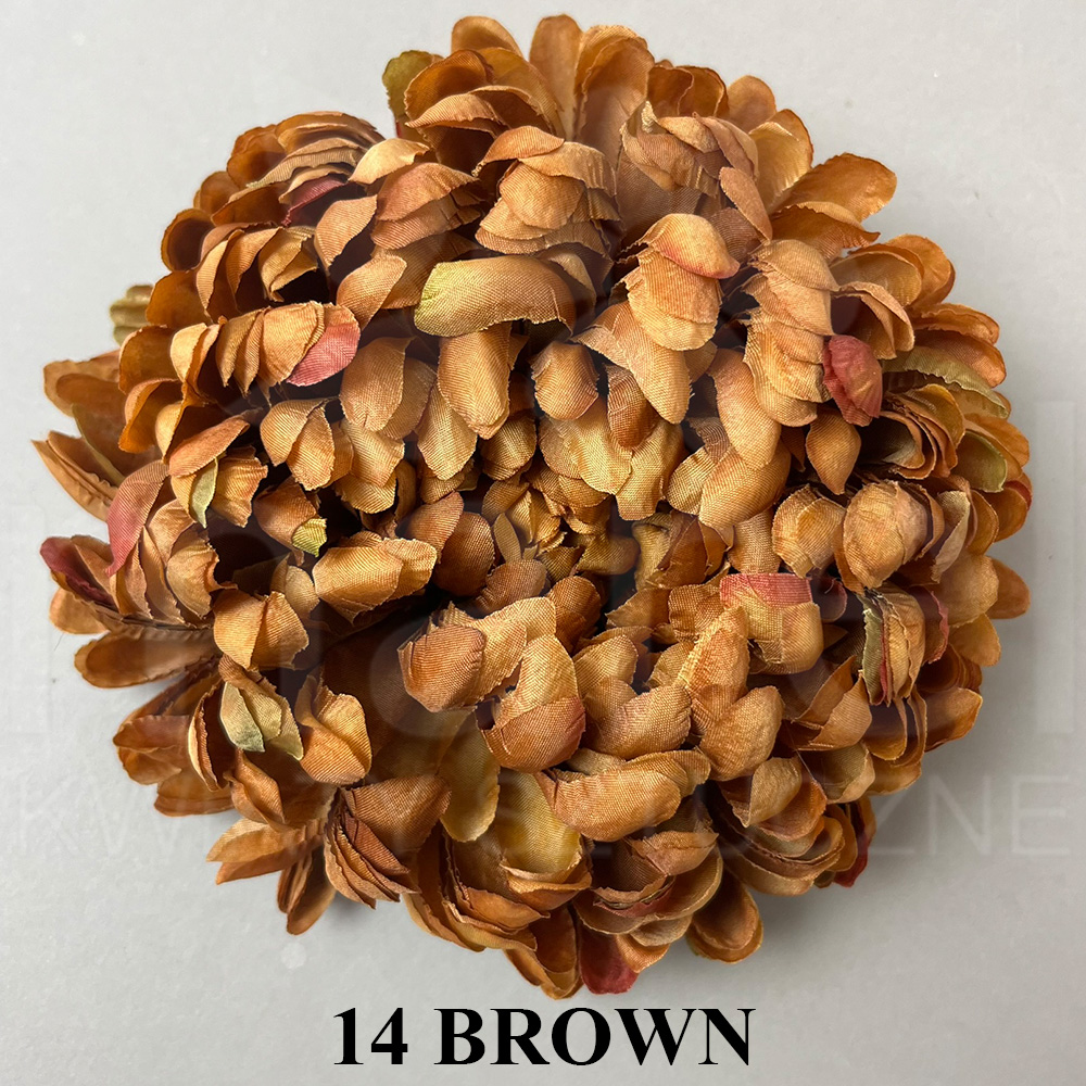14 BROWN.jpg