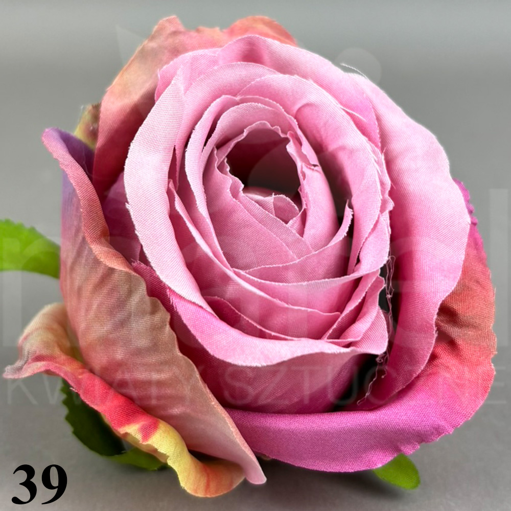 39.jpg