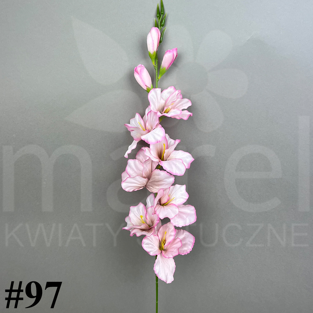 #97.jpg