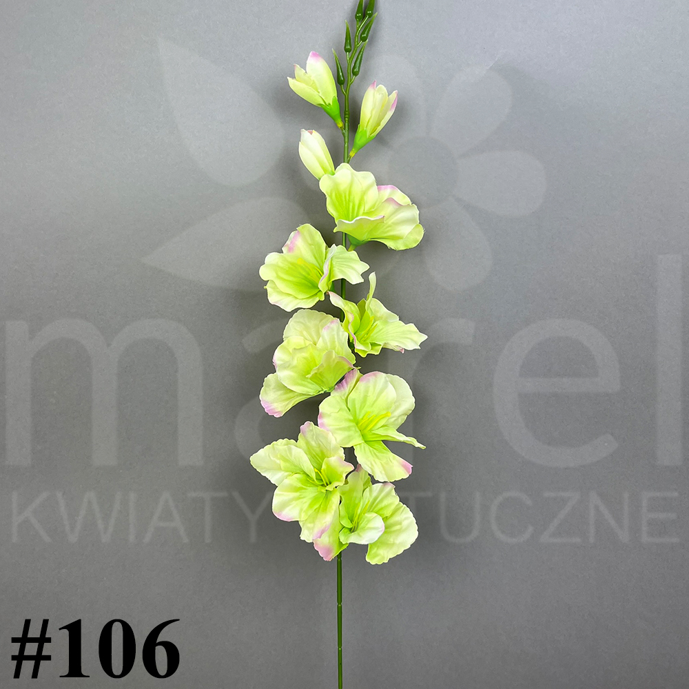 #106.jpg