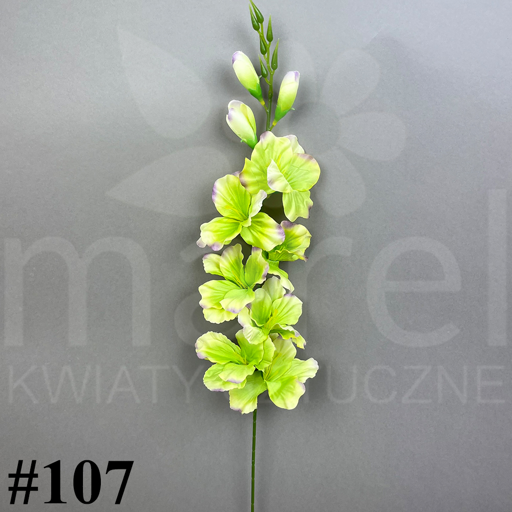 #107.jpg