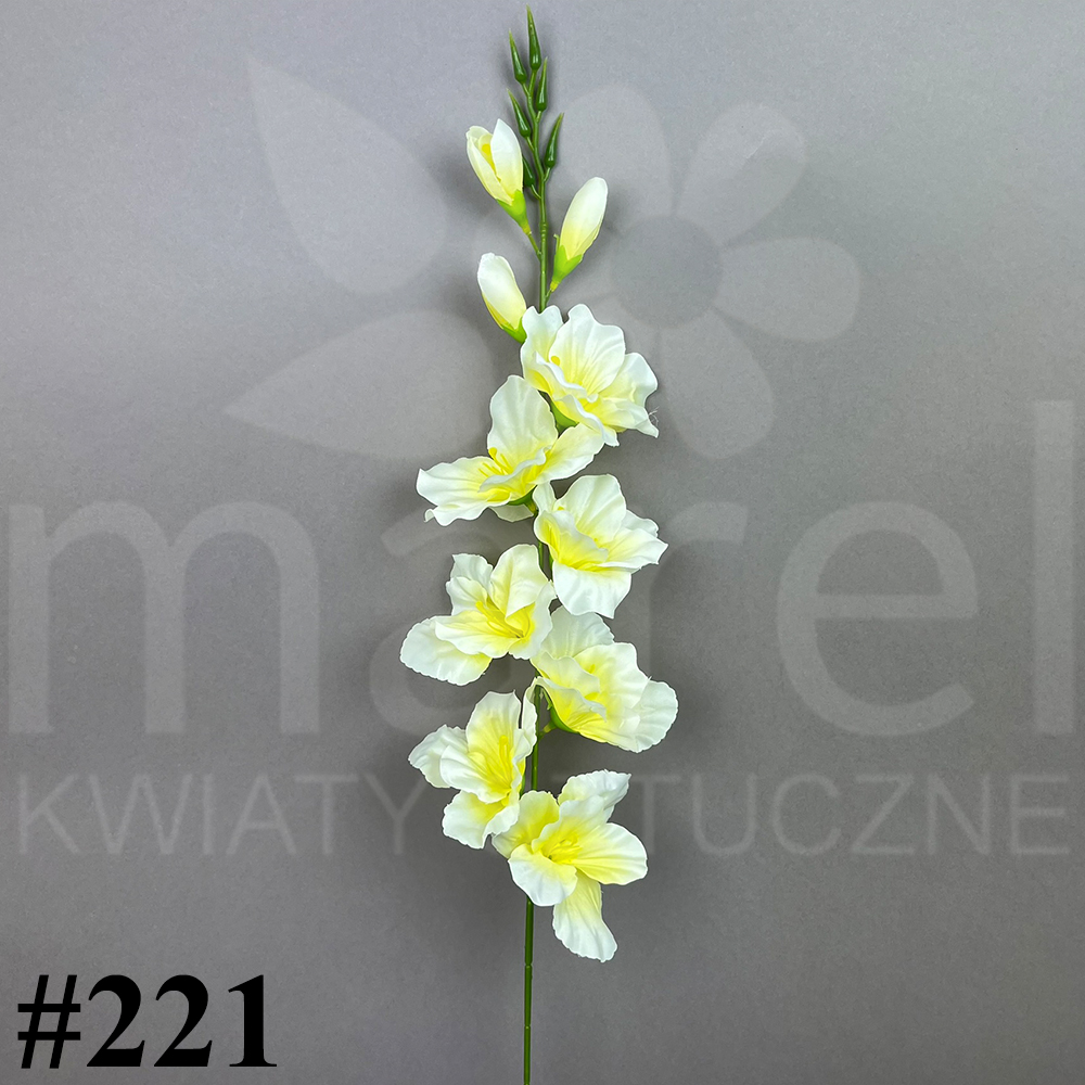 #221.jpg