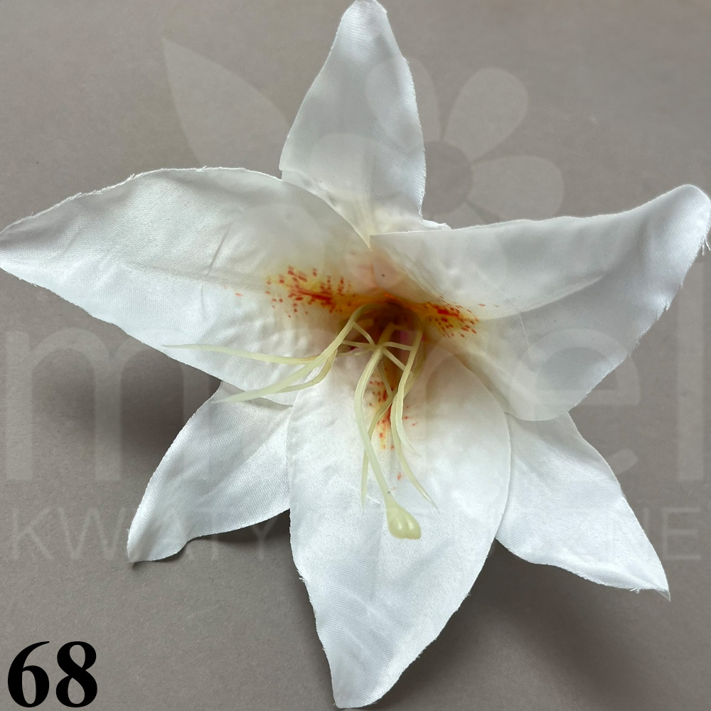 68.jpg