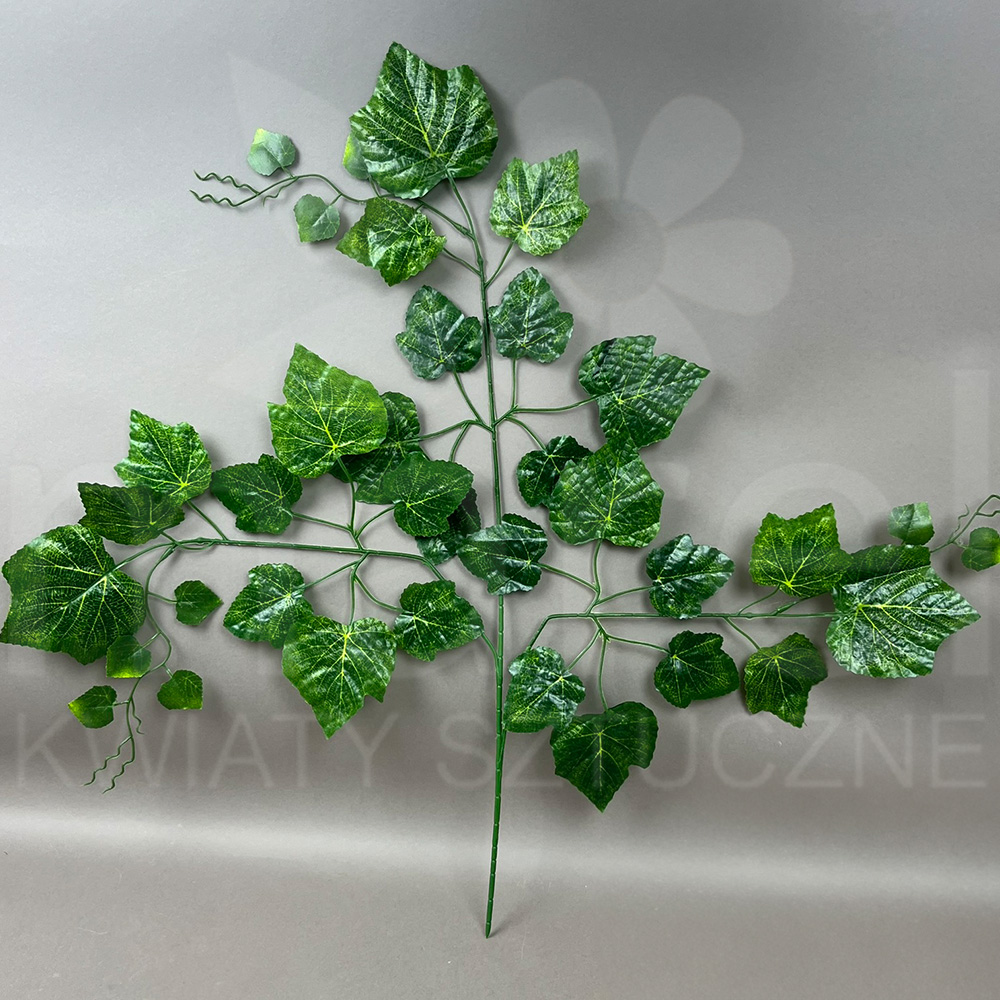 XS013.jpg