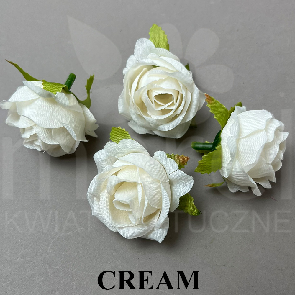 CREAM.jpg